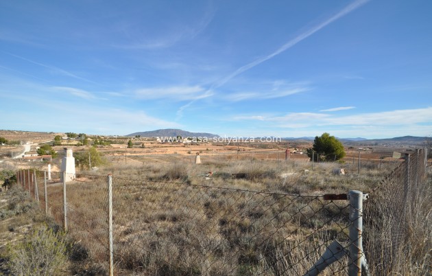 Resale - Country Property/Finca - Pinoso - Inland