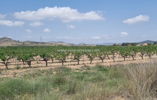 Revente - Land - Pinoso - Inland