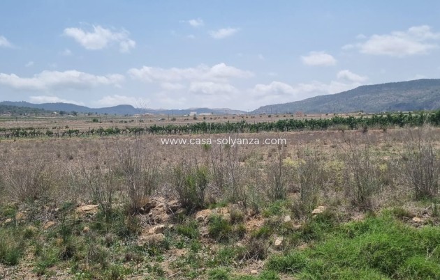 Revente - Land - Pinoso - Inland