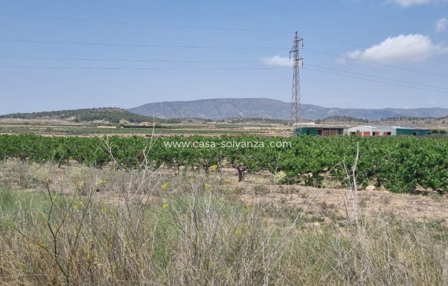 Revente - Land - Pinoso - Inland