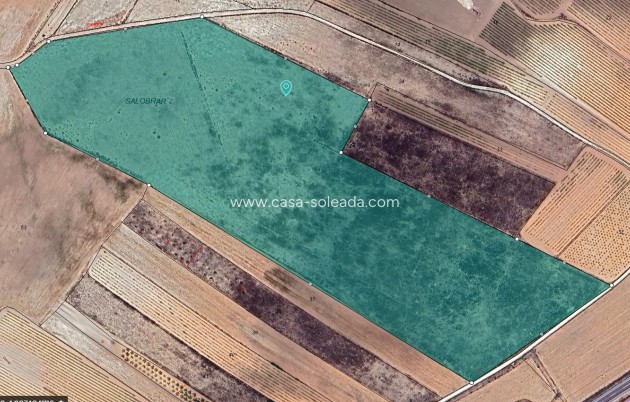Revente - Land - Pinoso - Inland