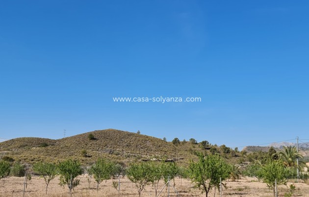 Resale - Villa - Barinas - Inland