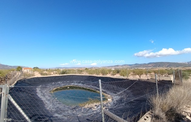 Resale - Country Property/Finca - Jumilla - Inland