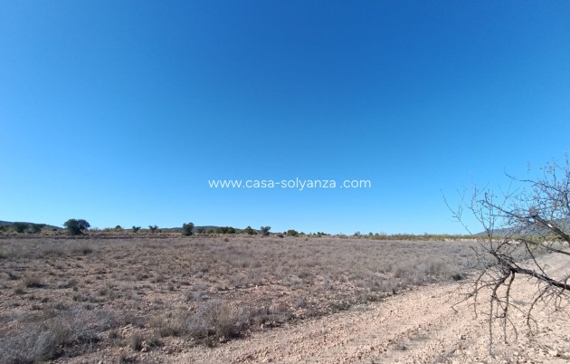 Resale - Country Property/Finca - Jumilla - Inland