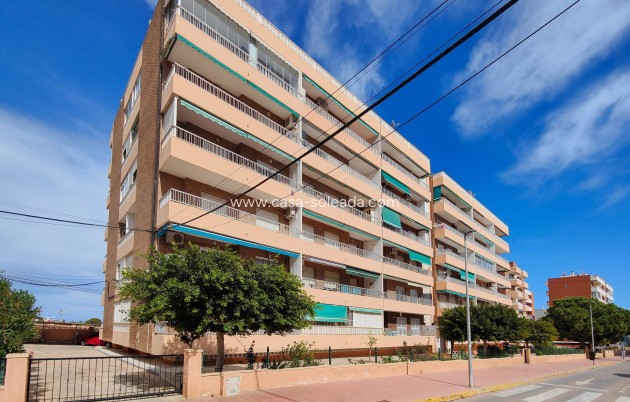 Wiederverkauf - Wohnung - Orihuela Costa - Costa Blanca