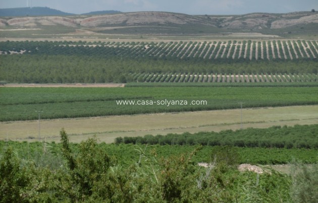 Resale - Villa - Yecla - Inland