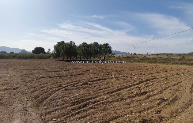 Reventa - Villa - Sax - Inland