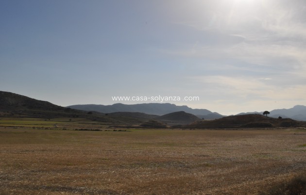 Resale - Land - Torre Del Rico - Inland