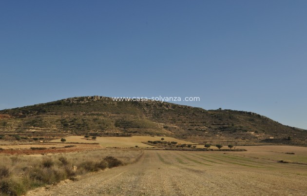 Resale - Land - Torre Del Rico - Inland