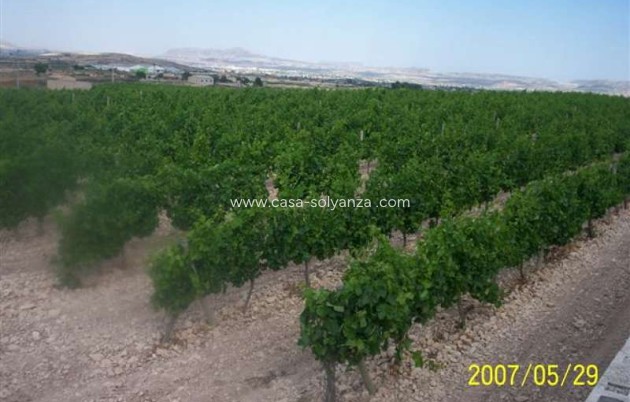 Resale - Country Property/Finca - Novelda - Inland
