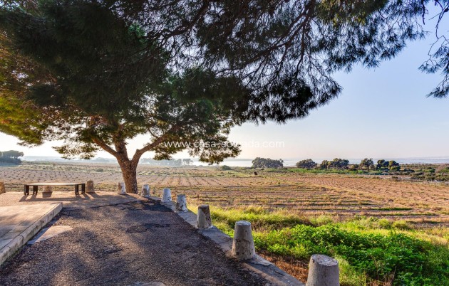 Revente - Maison de ville - Torrevieja - San Luis
