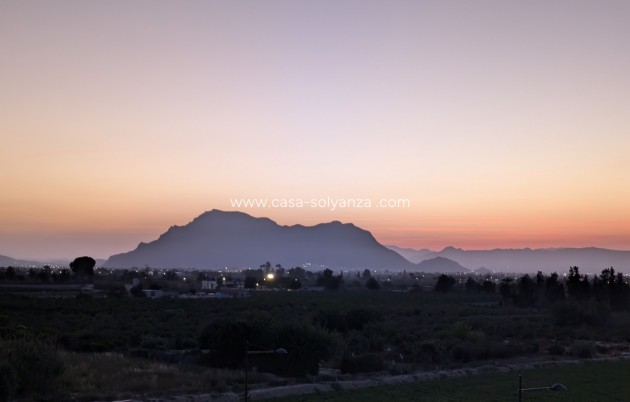 Wiederverkauf - Wohnung - Algorfa