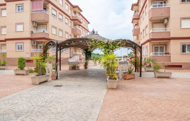 Wiederverkauf - Wohnung - Algorfa