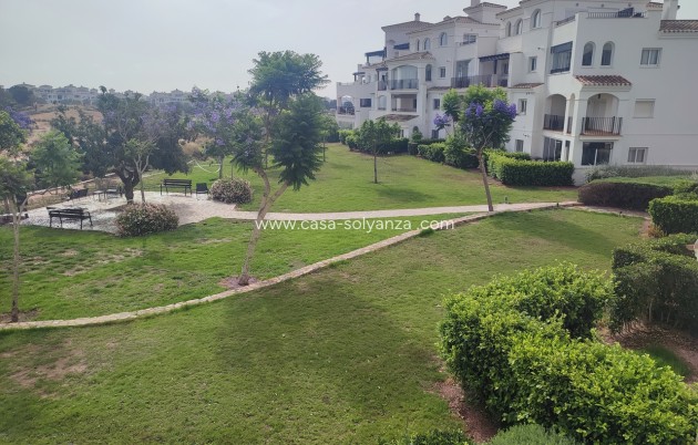 Resale - Apartment / flat - Hacienda Riquelme Golf Resort - Inland