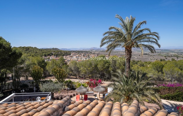 Resale - Villa - San Miguel de Salinas - Las Communicaciones