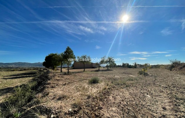 Resale - Country Property/Finca - Abanilla - Inland