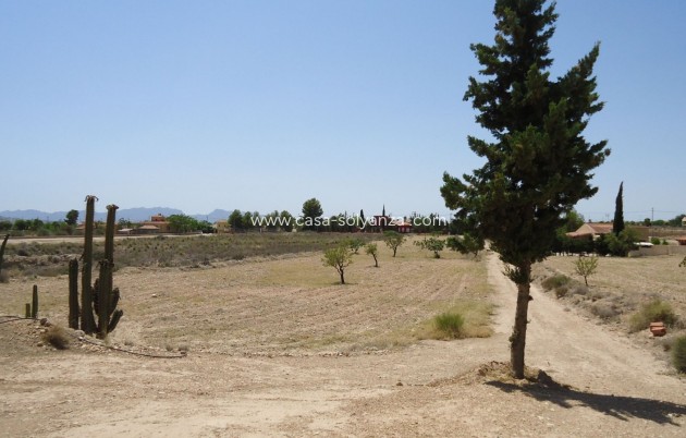Resale - Country Property/Finca - Abanilla - Inland