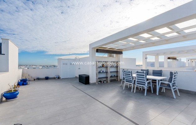 Resale - Apartment / flat - Guardamar del Segura - Costa Blanca