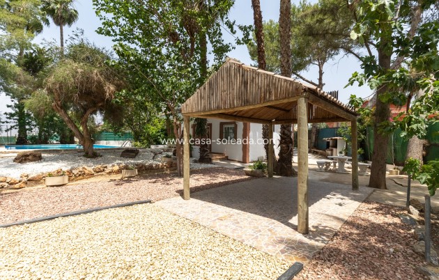 Revente - Country Property/Finca - Orihuela - Arneva - Las Norias