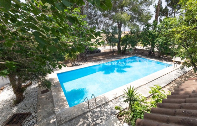 Revente - Country Property/Finca - Orihuela - Arneva - Las Norias