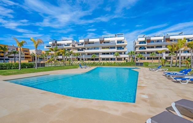 Resale - Apartment / flat - Playa Flamenca - Costa Blanca