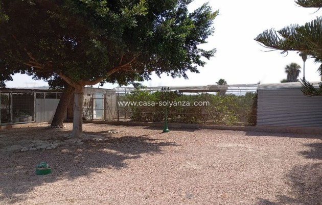Revente - Country Property/Finca - Rojales - Inland
