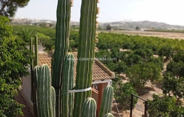 Revente - Country Property/Finca - Rojales - Inland