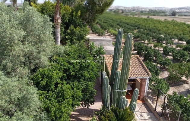 Revente - Country Property/Finca - Rojales - Inland