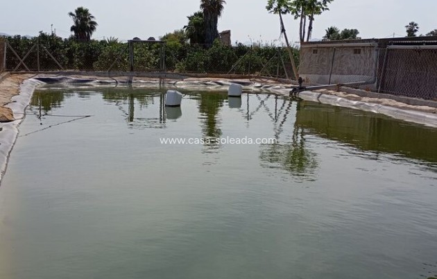 Revente - Country Property/Finca - Rojales - Inland