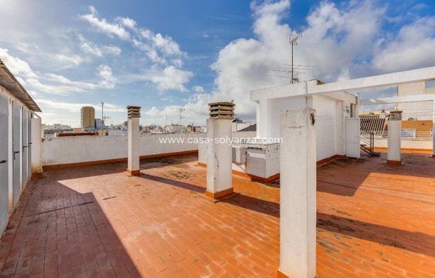 Resale - Apartment / flat - Torrevieja - Paseo Maritimo