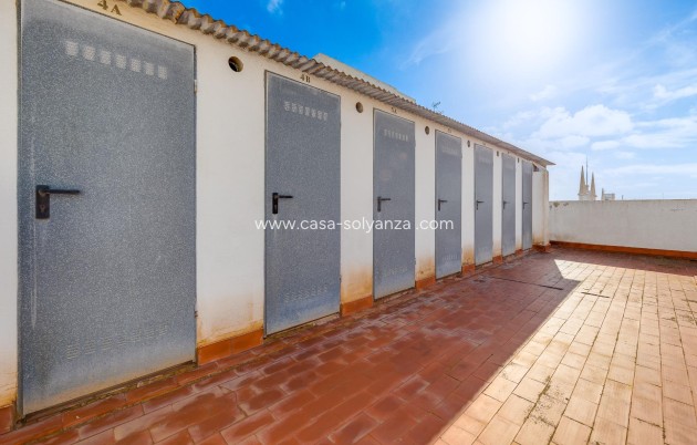 Resale - Apartment / flat - Torrevieja - Paseo Maritimo