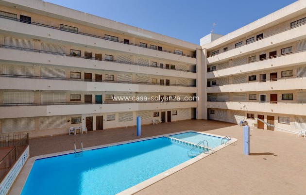 Resale - Apartment / flat - Torrevieja - Estacion Autobuses