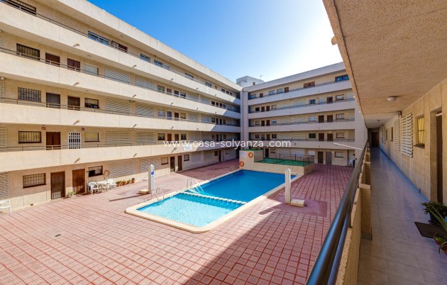 Resale - Apartment / flat - Torrevieja - Estacion Autobuses