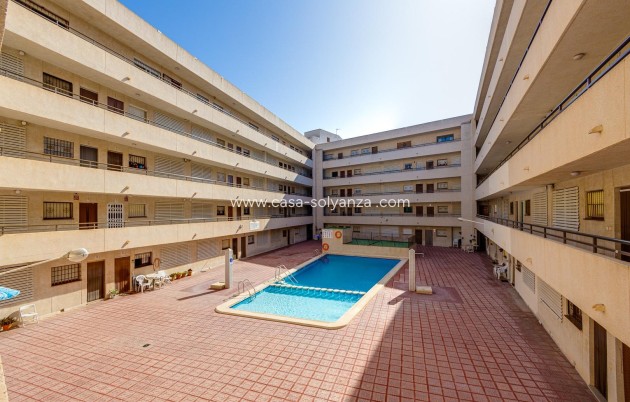 Resale - Apartment / flat - Torrevieja - Estacion Autobuses