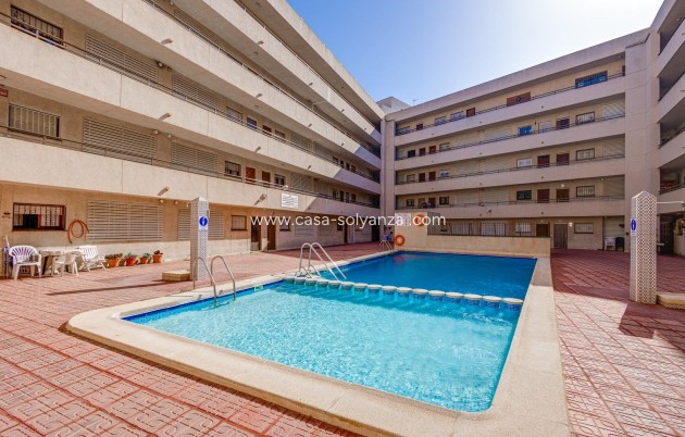 Resale - Apartment / flat - Torrevieja - Estacion Autobuses