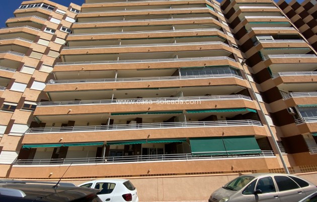 Revente - Appartement - La Mata - Costa Blanca