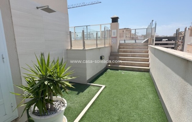 Wiederverkauf - Wohnung - Torrevieja - Playa del Cura