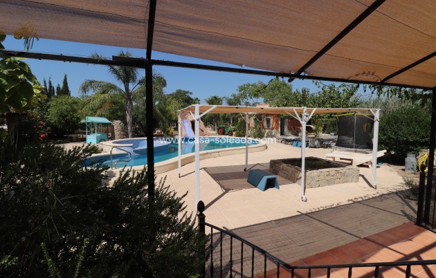Revente - Country Property/Finca - Catral - Catral - Country