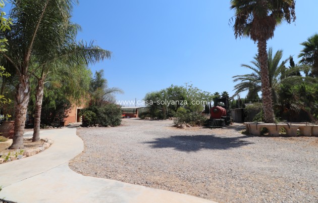 Revente - Country Property/Finca - Catral - Catral - Country