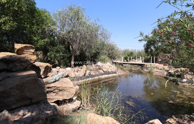 Revente - Country Property/Finca - Catral - Catral - Country