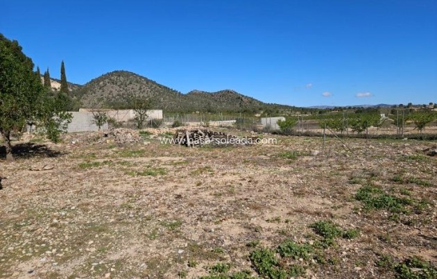 Resale - Villa - Monóvar - Comunidad Valenciana