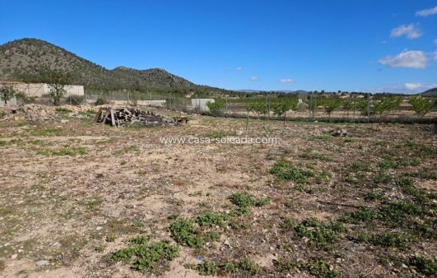 Resale - Villa - Monóvar - Comunidad Valenciana