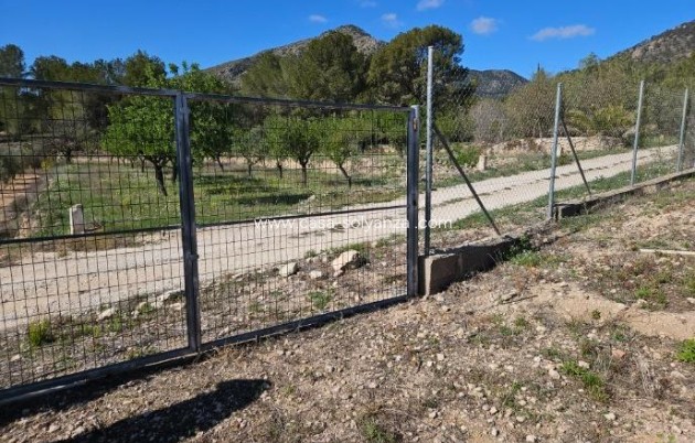Resale - Villa - Monóvar - Comunidad Valenciana