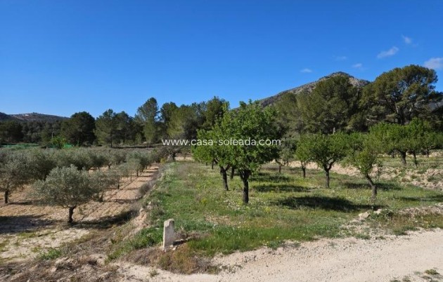 Resale - Villa - Monóvar - Comunidad Valenciana