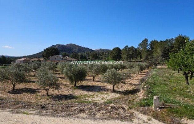 Resale - Villa - Monóvar - Comunidad Valenciana