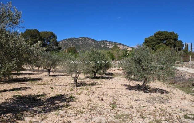Resale - Villa - Monóvar - Comunidad Valenciana