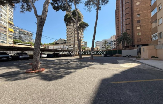 Reventa - Apartamento / piso - Benidorm - Costa Blanca