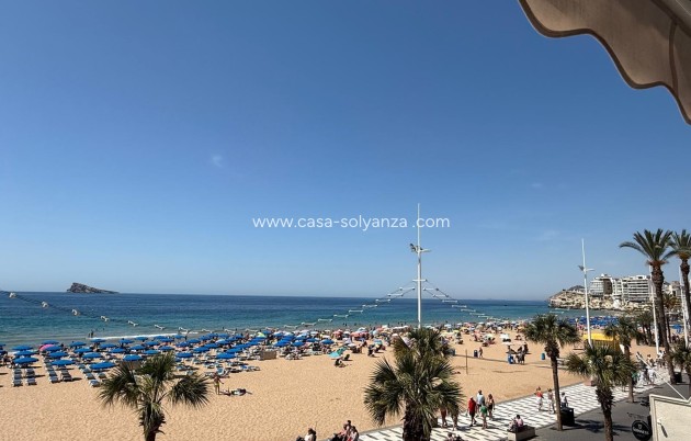 Reventa - Apartamento / piso - Benidorm - Costa Blanca