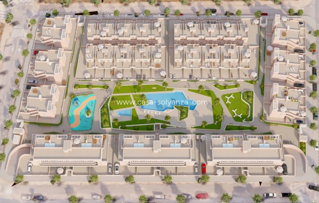 Nouvelle construction - Appartement - Pilar de la Horadada