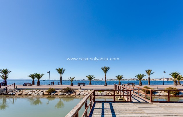 Nouvelle construction - Villa - Pilar de la Horadada